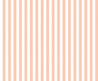 STR50114W Bloc Stripe Peach Puff Wallpaper by Ohpopsi