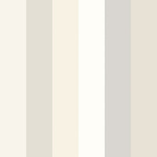 STR50125W Rainbow Bloc Oyster Wallpaper by Ohpopsi