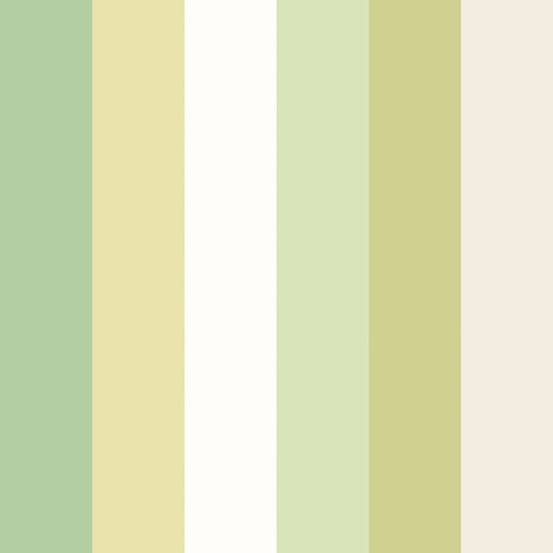 STR50126W Rainbow Bloc Pear Wallpaper by Ohpopsi