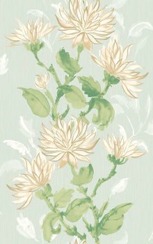 HAN50128W Kiku Seafoam Wallpaper by Ohpopsi