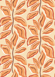 REV50119W Foli Apricot Twist Wallpaper by Ohpopsi