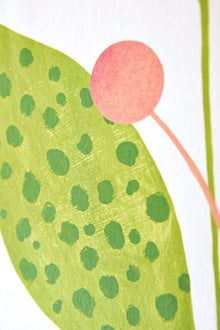 GRA50135W Berry Dot Pear & Peach Wallpaper by Ohpopsi