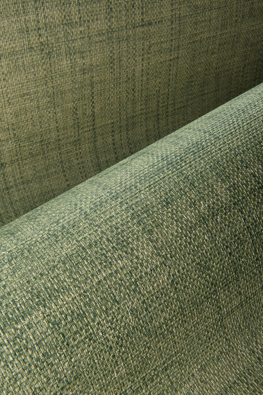 Fade Crocodile Ombre Wallpaper by Arte