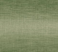 Fade Crocodile Ombre Wallpaper by Arte