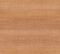 Rise Fire Ombre Wallpaper by Arte
