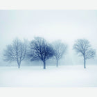 MUR439L Winter Trees Black & White Mural Large by Origin Murals