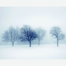 MUR439L Winter Trees Black & White Mural Large by Origin Murals
