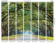 MUR441L Tree Walk Green Mural Large by Origin Murals