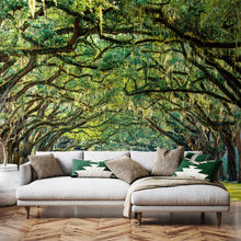 MUR441L Tree Walk Green Mural Large by Origin Murals