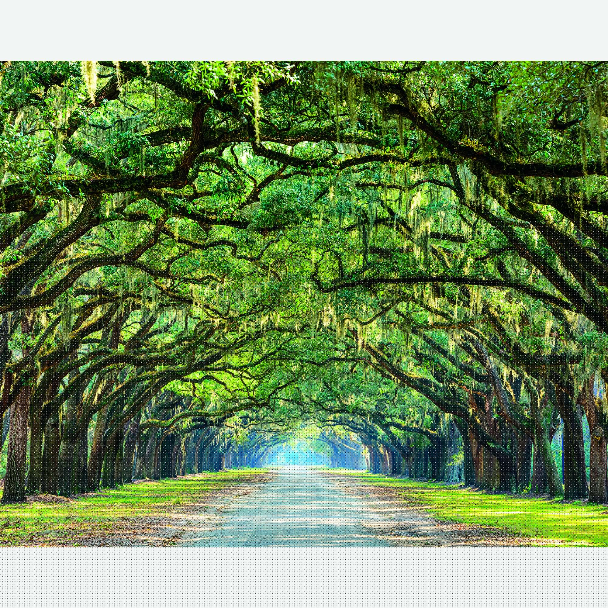 MUR441M Tree Walk Green Mural Medium by Origin Murals