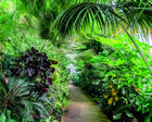 MUR442M Leafy Lane Green Mural Medium by Origin Murals