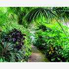MUR442L Leafy Lane Green Mural Large by Origin Murals