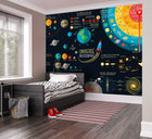 MUR450M Scientific Universe Black Mural Medium by Origin Murals
