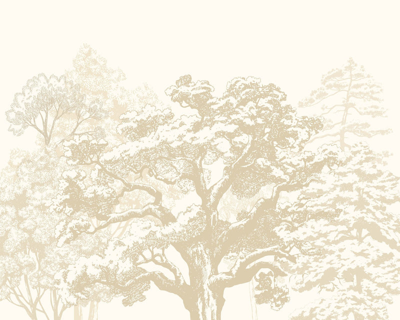 MUR431M Etched Trees Parchment Mural Medium by Origin Murals