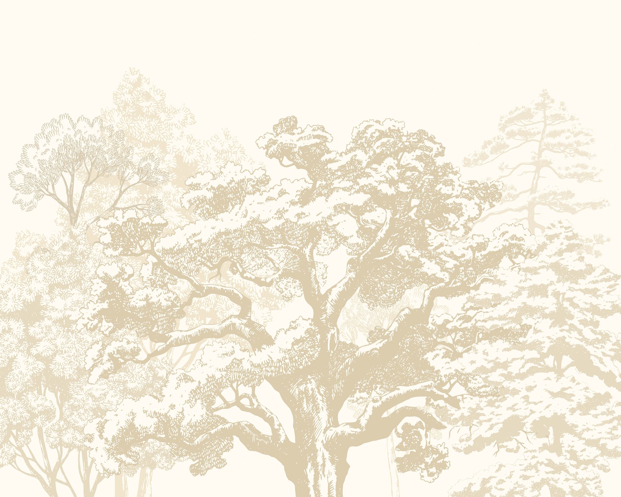 MUR431L Etched Trees Parchment Mural Large by Origin Murals