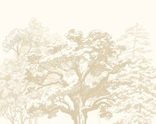 MUR431M Etched Trees Parchment Mural Medium by Origin Murals
