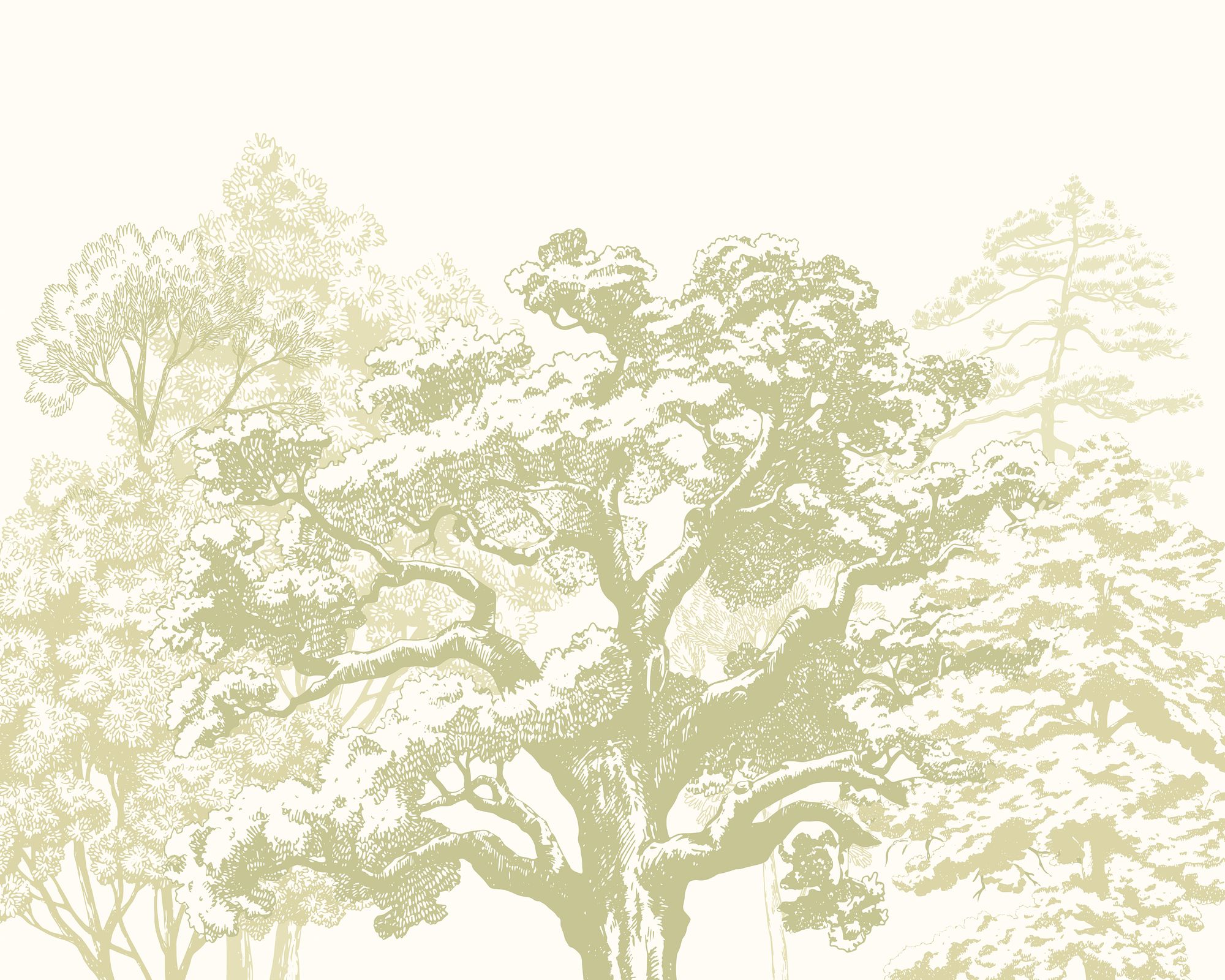 MUR432M Etched Trees Apple Green Mural Medium by Origin Murals