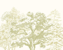 MUR432M Etched Trees Apple Green Mural Medium by Origin Murals