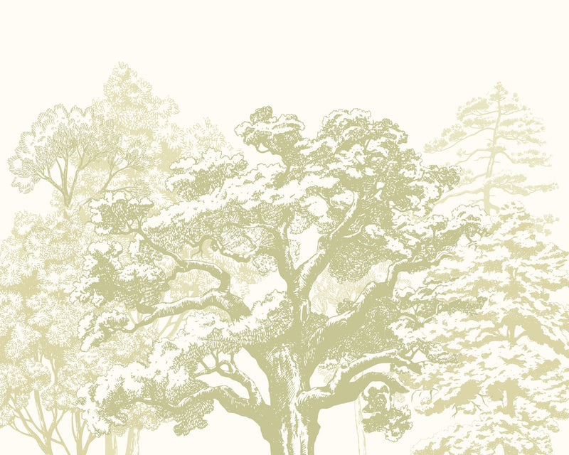MUR432M Etched Trees Apple Green Mural Medium by Origin Murals
