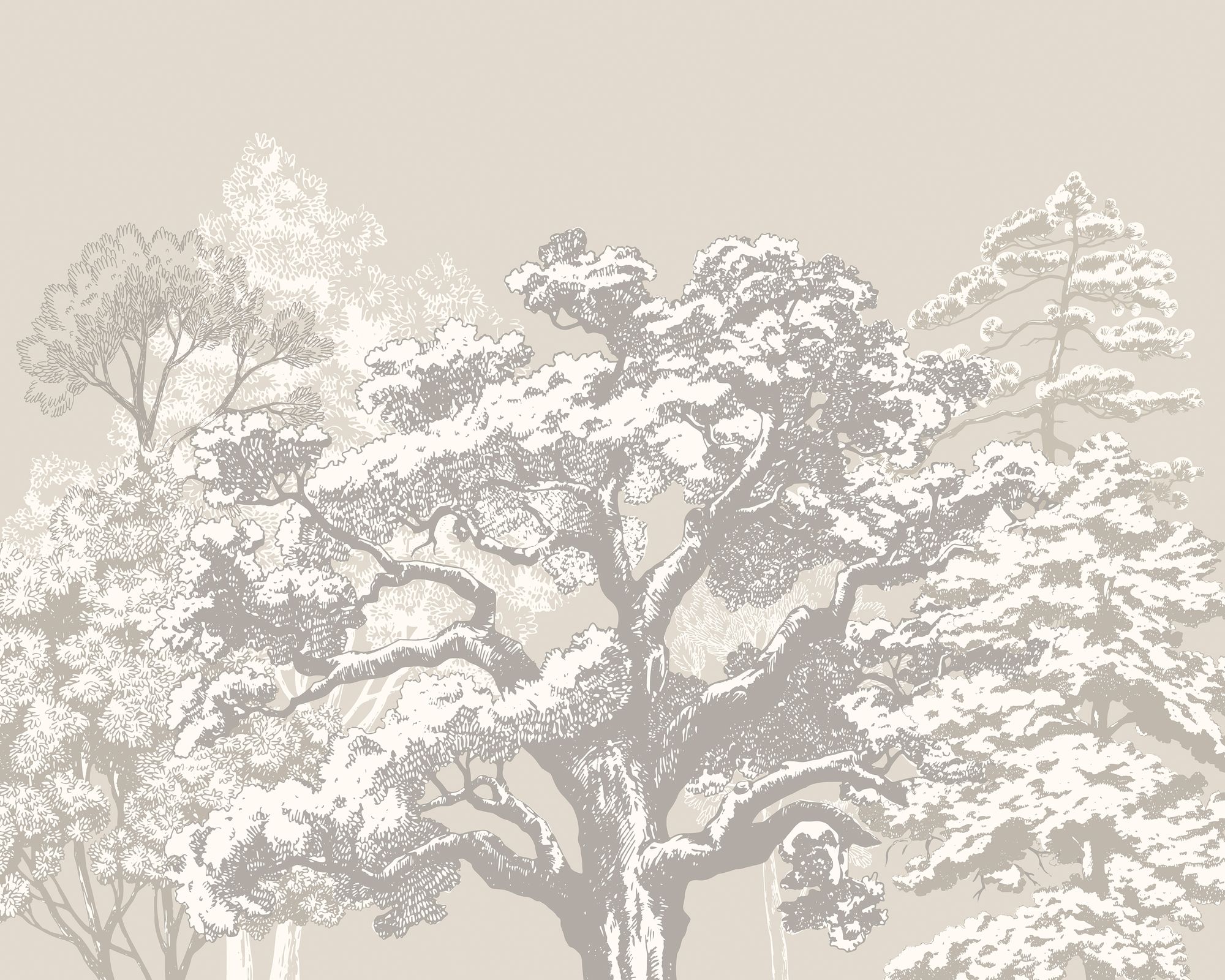MUR434M Etched Trees Charcoal And Stone Mural Medium by Origin Murals