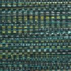 54564 Geloma Osmanthus Wallpaper By Arte