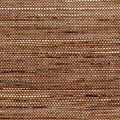 Sambe Osmanthus Wallpaper By Arte