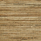 54554 Sambe Osmanthus Wallpaper By Arte