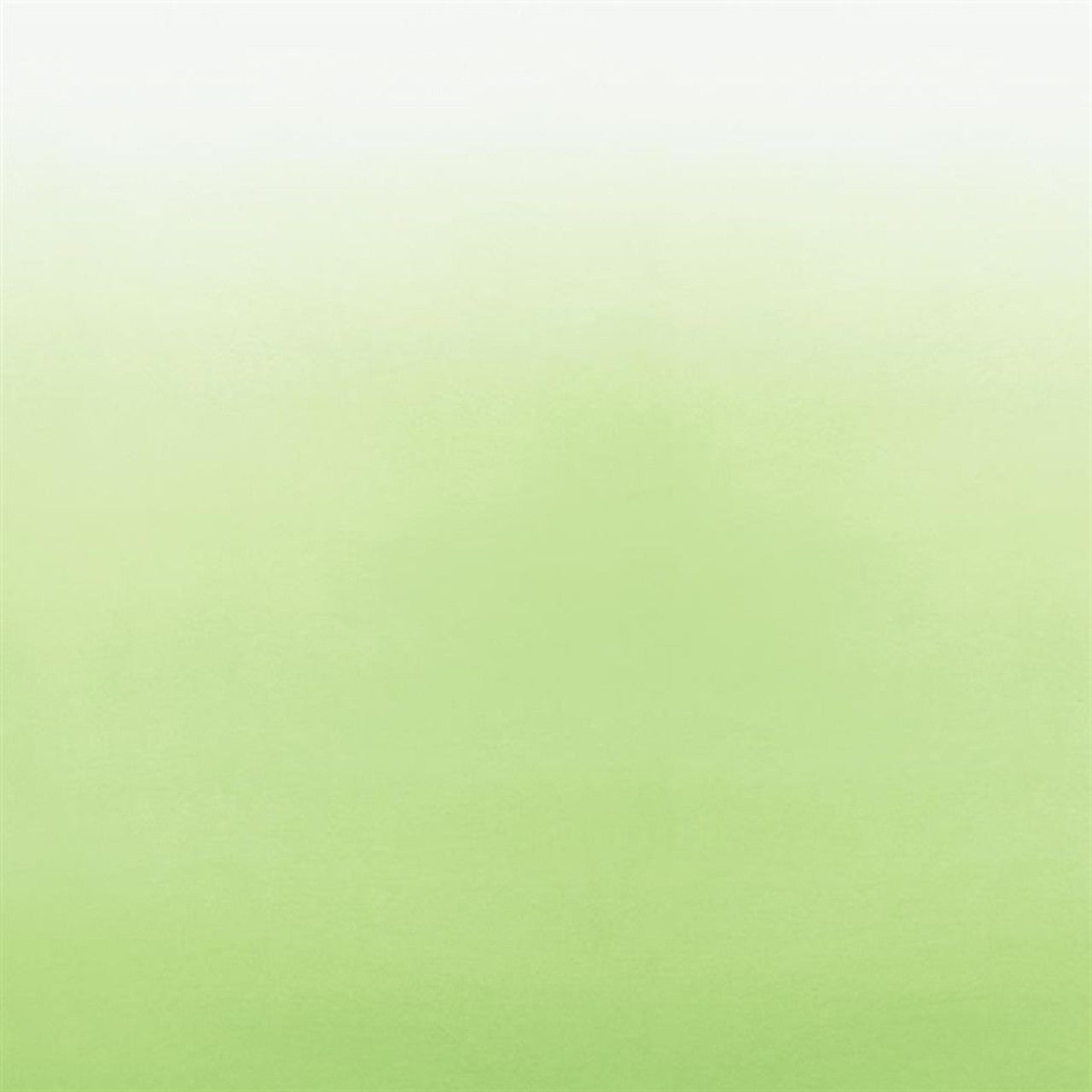 P600/08 Saraille Contarini Wallpaper by Designers Guild