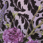 P621/05 Alexandria Ardassa Wallpaper by Designers Guild