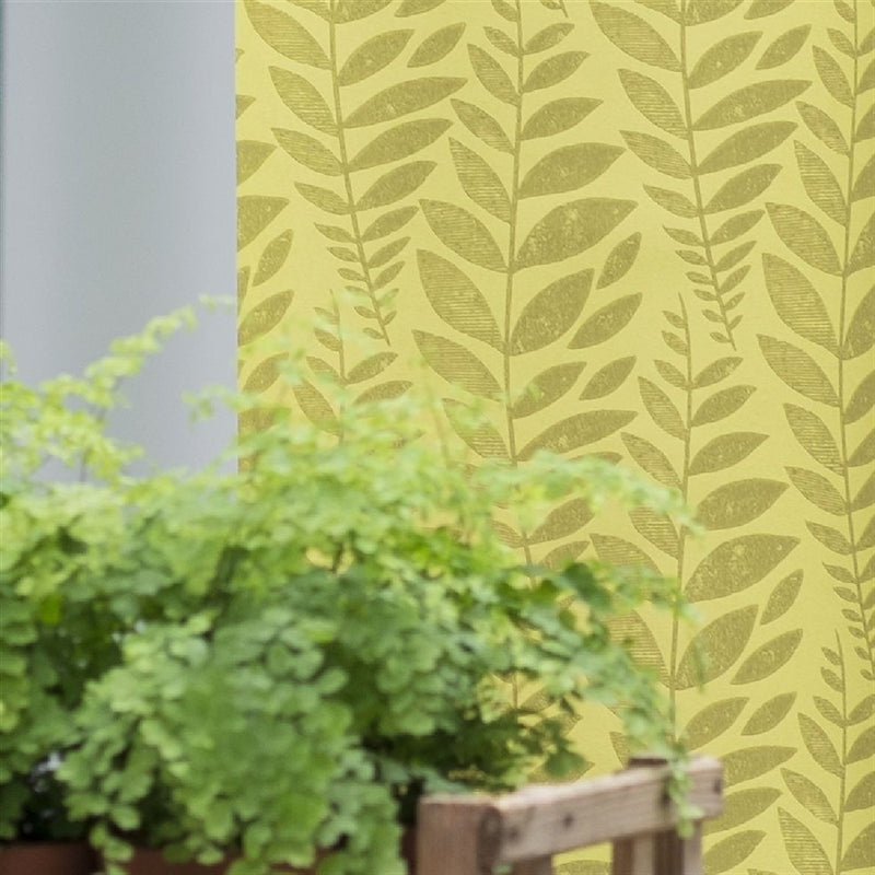 P627/04 Surabaya Odhni Wallpaper by Designers Guild