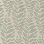 P627/09 Surabaya Odhni Wallpaper by Designers Guild