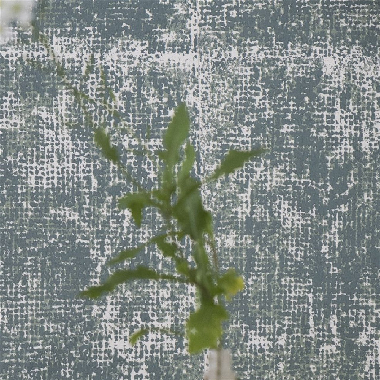 P629/09 Surabaya Saru Wallpaper by Designers Guild