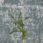 P629/09 Surabaya Saru Wallpaper by Designers Guild