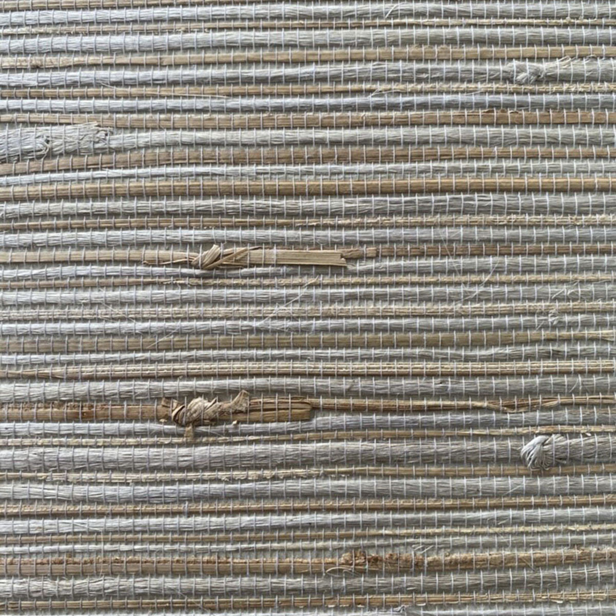 PA01601 Cipriani Pavone Copper Coin Wallpaper By Sketch Twenty 3