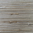 PA01601 Cipriani Pavone Copper Coin Wallpaper By Sketch Twenty 3