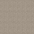 Modena Pavone Wallpaper By Sketch Twenty 3