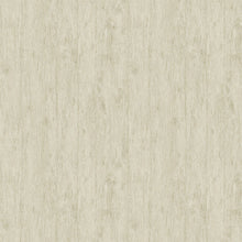 PA01633 Tivoli Pavone Alpine Cream Wallpaper By Sketch Twenty 3
