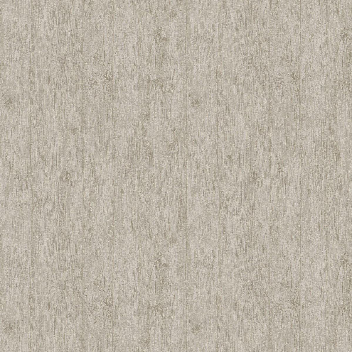 PA01635 Tivoli Pavone Birch Wallpaper By Sketch Twenty 3