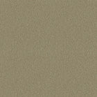 PA01639 Verona Pavone Hazel Wallpaper By Sketch Twenty 3