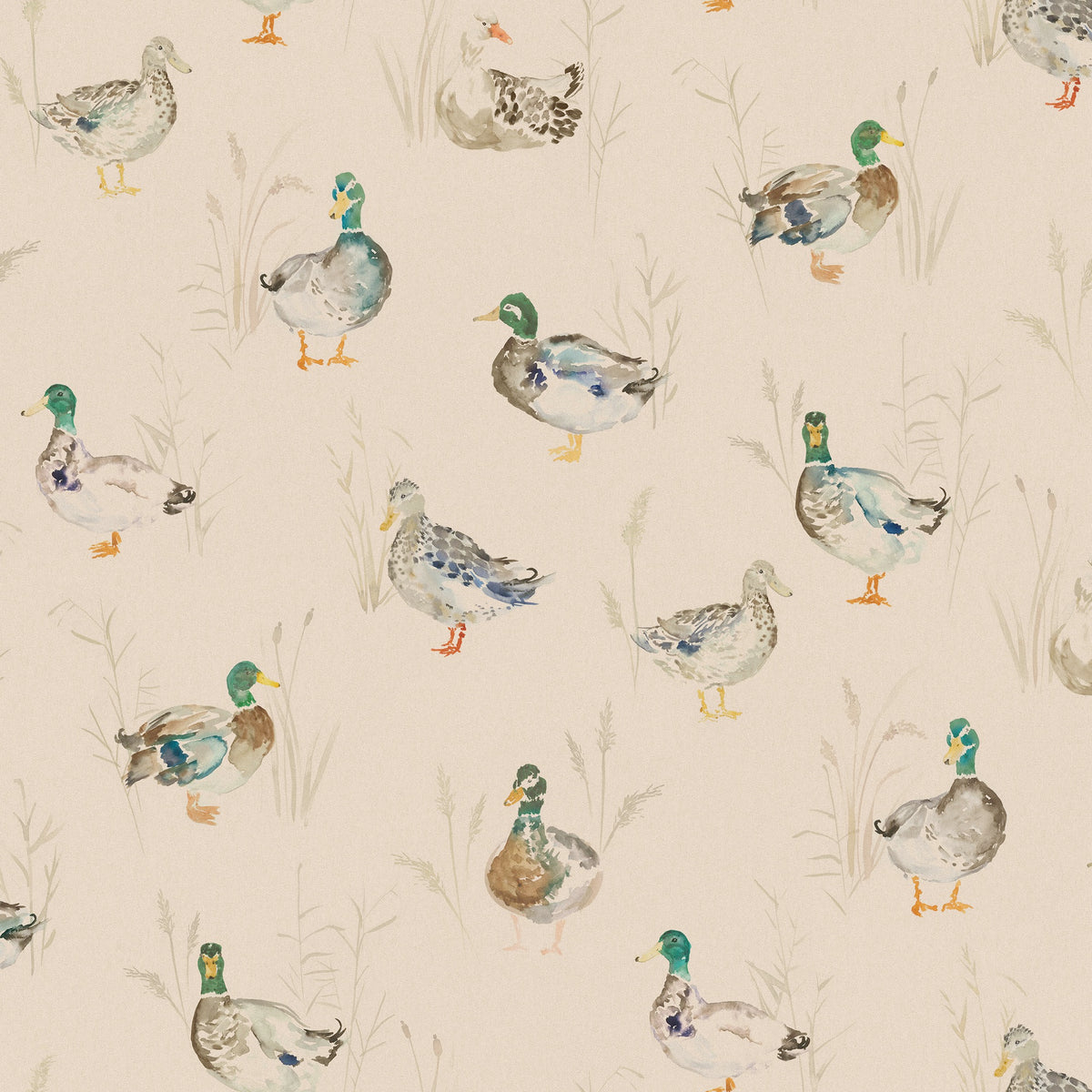 Paddling Ducks Cream Wallpaper by Voyage Maison | PADDLIN/WPO/CRE