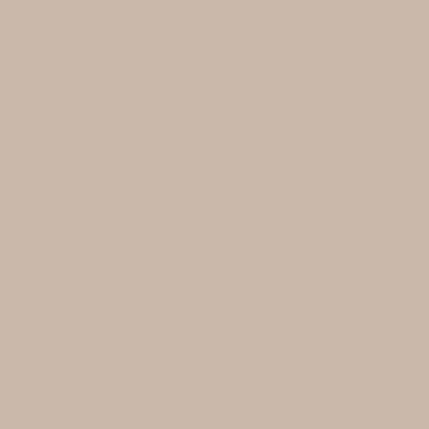 Pale Umber Zoffany Paint