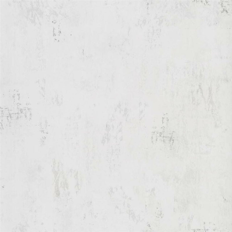 PDG1034/06 Impasto Tulipa Stellata Wallpaper By Designers Guild