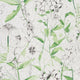 Emilie Mandora Wallpaper By Designers Guild