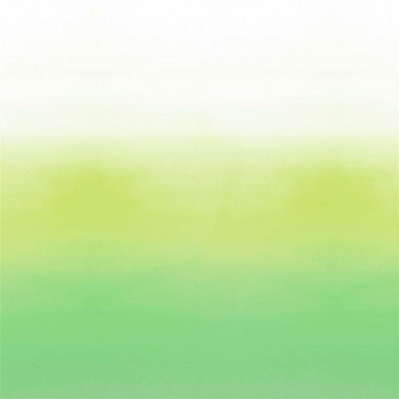 PDG1059/02 Savoie Mandora Wallpaper By Designers Guild