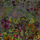 Indian Sunflower Scenes and Murals Wallpaper By Designers Guild