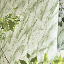 PDG1089/04 Carrara Grande Foscari Fresco Wallpaper By Designers Guild