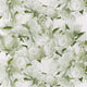 Peonia Foscari Fresco Wallpaper By Designers Guild