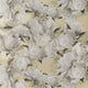 Peonia Foscari Fresco Wallpaper By Designers Guild