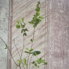 PDG1098/01 Foscari Fresco Scene 2 Tuberose Wallpaper By Designers Guild