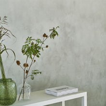 PDG1101/01 Tourangelle Zinc Foscari Fresco Wallpaper By Designers Guild